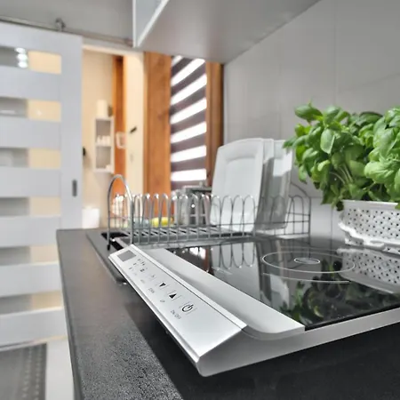 - Zakopianski 公寓